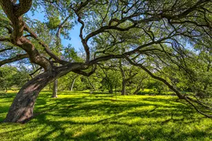 4903 Buckskin Pass, Austin, TX 78745 - Photo 33