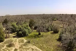 1218 Private Road 3063 Rd, Lexington, TX 78947 - Photo 29