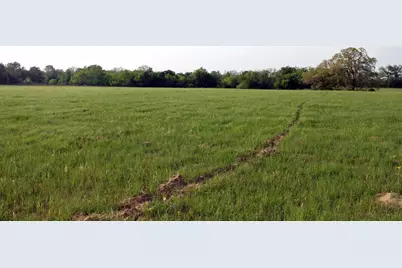 3223 Old Kelley Road, Lockhart, TX 78644 - Photo 7