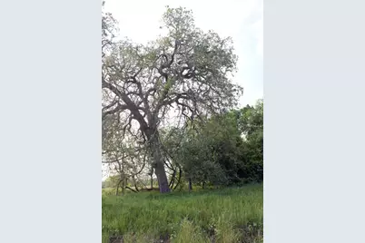 3223 Old Kelley Road, Lockhart, TX 78644 - Photo 9