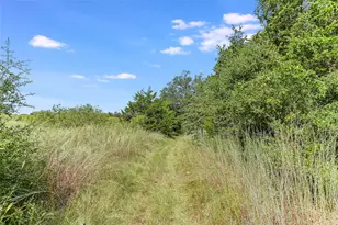 741 Knobbs Rd, McDade, TX 78650 - Photo 29