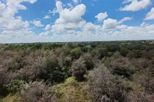 741 Knobbs Rd, McDade, TX 78650 - Photo 31