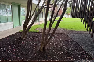 2200 Dickson Dr, Austin, TX 78704 - Photo 7