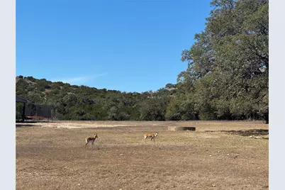 0 E Majestic Creek Drive #Lot 10, Blanco, TX 78606 - Photo 5