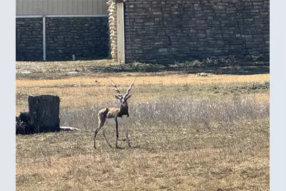 0 E Majestic Creek Drive #Lot 10, Blanco, TX 78606 - Photo 3