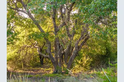 128 Private Road 142, Lampasas, TX 76550 - Photo 15