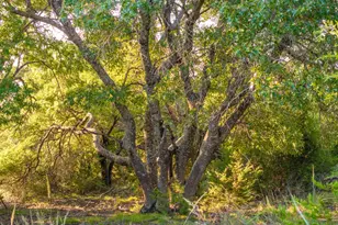 128 Private Road 142, Lampasas, TX 76550 - Photo 15