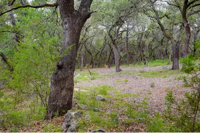 401 Mountain Crest Drive, Wimberley, TX 78676 - Photo 23