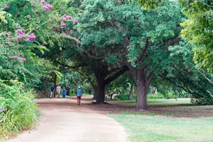 84 East Ave, Austin, TX 78701 - Photo 37