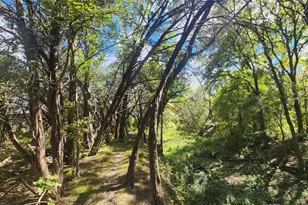 25615 Ronald W Reagan Blvd, Georgetown, TX 78633 - Photo 5