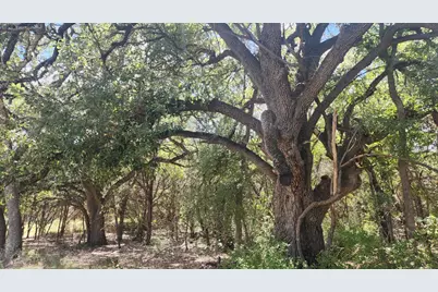 25615 Ronald W Reagan Boulevard, Georgetown, TX 78633 - Photo 9