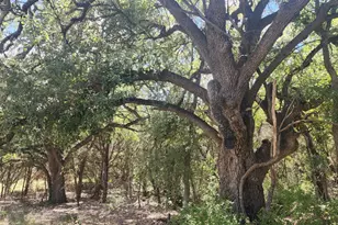 25615 Ronald W Reagan Blvd, Georgetown, TX 78633 - Photo 9