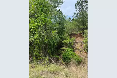 Tbd Monku Court, Bastrop, TX 78602 - Photo 11