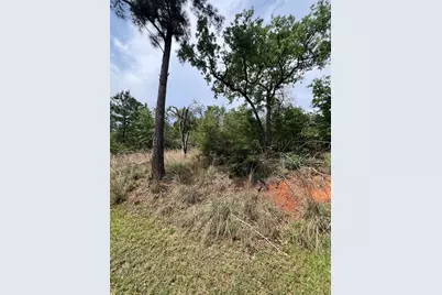Tbd Monku Court, Bastrop, TX 78602 - Photo 13