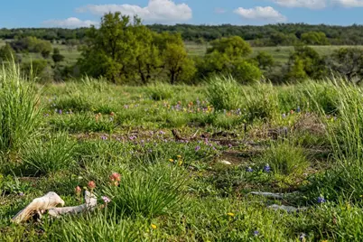 Lot 8 Maddalena Lane, Dripping Springs, TX 78620 - Photo 9