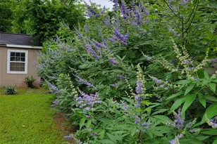 1524 Weyford Dr, Austin, TX 78757 - Photo 31