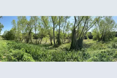 1411 Pecan Shores, Smithville, TX 78957 - Photo 19