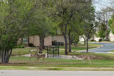 124 Dewberry Drive, Georgetown, TX 78633 - Photo 27