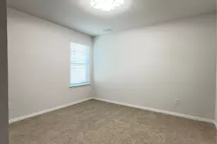 282 Texas Palmetto Cir, Kyle, TX 78640 - Photo 17