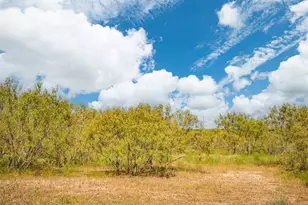 135 Spanish Oak Rd, Dale, TX 78616 - Photo 29