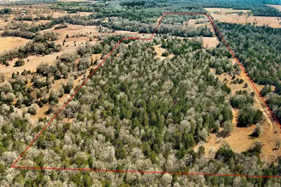 1648 Jeddo Road, Rosanky, TX 78953 - Photo 31