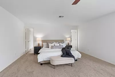 305 Santolina Lane, Round Rock, TX 78664 - Photo 17