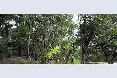 850 Days End Road, Wimberley, TX 78676 - Photo 15