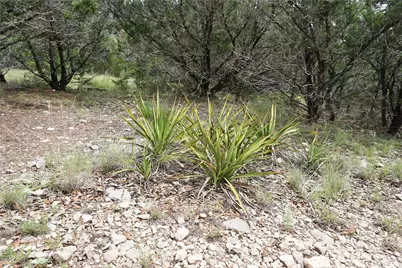 850 Days End Road, Wimberley, TX 78676 - Photo 19