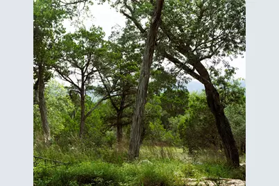 850 Days End Road, Wimberley, TX 78676 - Photo 3