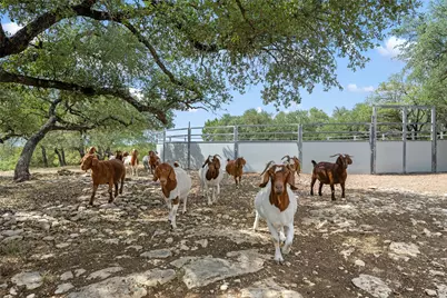 2400 W Fitzhugh Road, Dripping Springs, TX 78620 - Photo 33