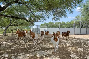 2400 W Fitzhugh Rd, Dripping Springs, TX 78620 - Photo 33