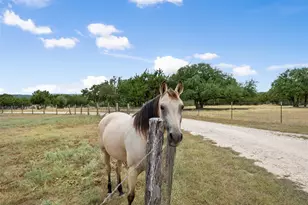 2400 W Fitzhugh Rd, Dripping Springs, TX 78620 - Photo 1