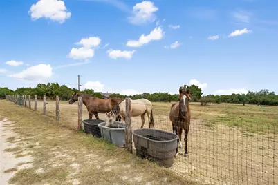 2400 W Fitzhugh Road, Dripping Springs, TX 78620 - Photo 29
