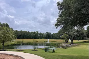 124 Brady Creek Wy, Leander, TX 78641 - Photo 3