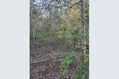 Lot 607 Waimanalo Drive, Bastrop, TX 78602 - Photo 1