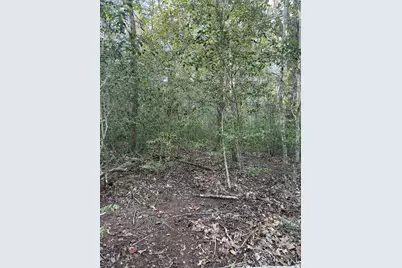 Lot 607 Waimanalo Drive, Bastrop, TX 78602 - Photo 3