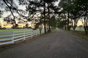 2502 Hwy 304, Smithville, TX 78957 - Photo 1