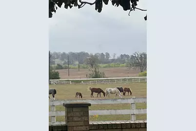 2502 Highway 304, Smithville, TX 78957 - Photo 13