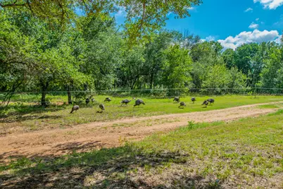 622 Private Road 4053, Buckholts, TX 76518 - Photo 3