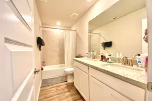 246 El Capitan Loop, Dripping Springs, TX 78620 - Photo 29