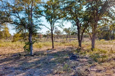 9202 Lockwood Springs Road, Manor, TX 78653 - Photo 5