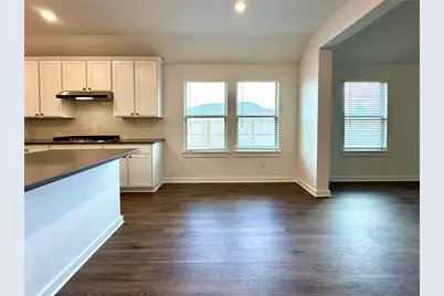 336 Chaste Tree Drive, San Marcos, TX 78666 - Photo 17