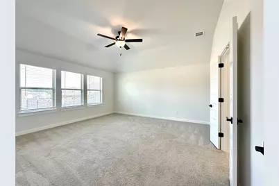 336 Chaste Tree Drive, San Marcos, TX 78666 - Photo 21