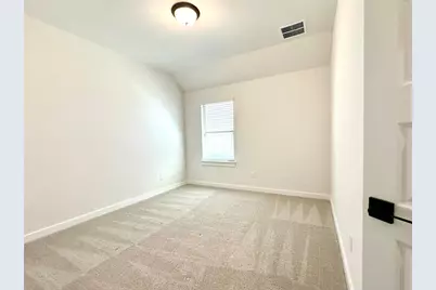336 Chaste Tree Drive, San Marcos, TX 78666 - Photo 29
