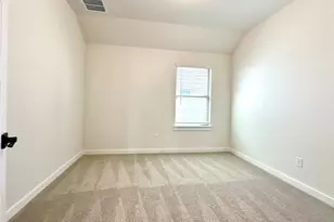 336 Chaste Tree Dr, San Marcos, TX 78666 - Photo 31