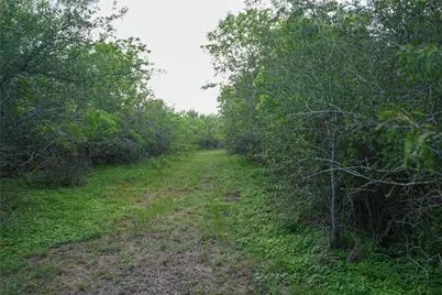 00 McDonald Lane, Bastrop, TX 78612 - Photo 25