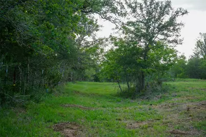 00 McDonald Lane, Bastrop, TX 78612 - Photo 15