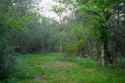 00 McDonald Lane, Bastrop, TX 78612 - Photo 19
