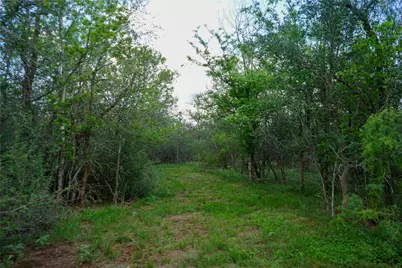 00 McDonald Lane, Bastrop, TX 78612 - Photo 23