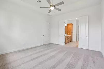 253 Prickly Poppy Loop, Kyle, TX 78640 - Photo 17